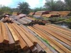 Temuan JPIK, Illegal Logging Semakin Marak di Kawasan Hutan