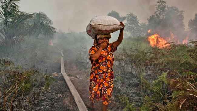 Seorang perempuan melintas di lahan yang terbakar