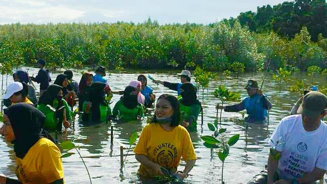 vSuasana penanaman mangrove oleh Kalla Group