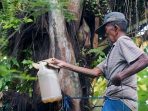 Jempol, Desa Mandiri Energi Berbasis Aren Dikembangkan di Boalemo