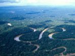 Hutan Amazon Hilang 1 Juta Hektar karena Deforestasi