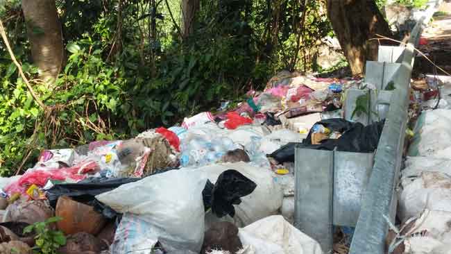 Meski Dikepung Sampah Sendiri, Indonesia Tetap Setia Impor Sampah dari 43 Negara