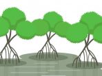 /media/irhyl/Tetirah/DATA GAMBAR KLIKHIJAU/Rusaknya Hutan Mangrove dan Teluk Tembe di Kembar Maminasa.jpg