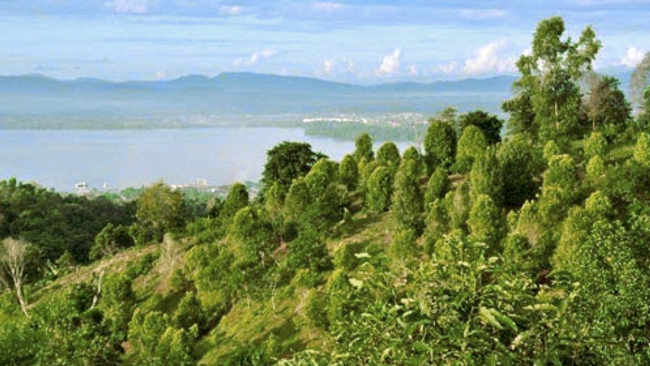 Taman Hutan Raya Nipa-Nipa Kendari dan Potensi Istimewa di Baliknya