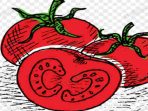 Benarkah Tomat Bisa Memperbesar Mr. P?