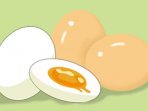 Ayo Klik! Ketahui Manfaat Telur Bebek, Bisa Tingkatkan Sistem Reproduksi