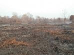 Ratusan Lahan Terbakar Resmi Disegel di Kalimantan Barat