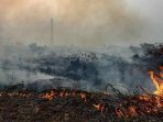 Yayasan Madani: Mitigasi dan Antisipasi Kebakaran Hutan Harus Diperkuat!