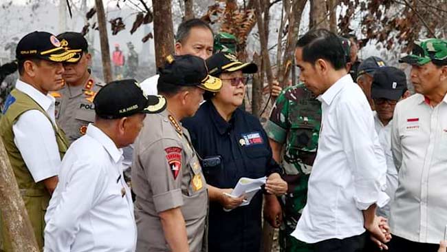 Perihal Karhutla, Presiden Jokowi: Pencegahan Lebih Efektif