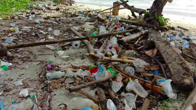 Sampah Terbanyak Kedua di Pantai adalah Kemasan Makanan dan Minuman
