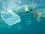 Indonesia Butuh Lebih Banyak Penelitian tentang Dampak Plastik di Laut