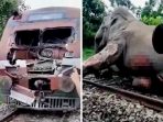 Lagi-Lagi, Gajah Mati Tertabrak Kereta di India
