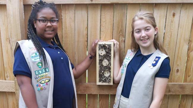 Selamatkan Lebah Liar, Girl Scouts Buatkan Sarang dari Barang Bekas