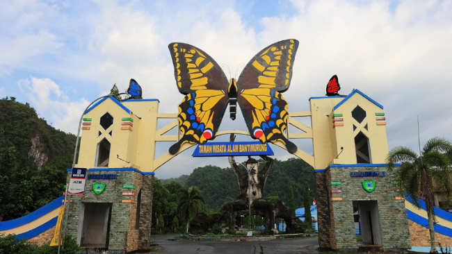 Iyakah, Kupu-kupu Asing Bertengger di Gerbang Bantimurung? • Klik Hijau