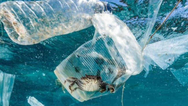 Sampah plastik di laut