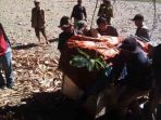 Dara Dilepas ke Taman Nasional Gunung Leuser di Usia 16 Tahun