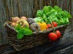 Konsumsi Sayur Organik, Rasakan 7 Manfaat Terbaiknya