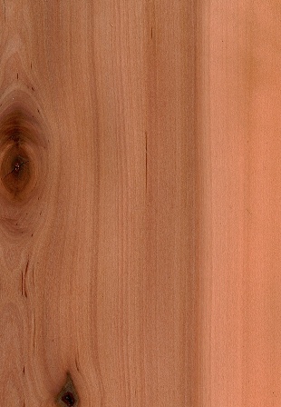 papan kayu suren