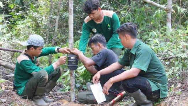Mendeteksi Satwa Liar di Angkola Selatan dengan Camera Trap