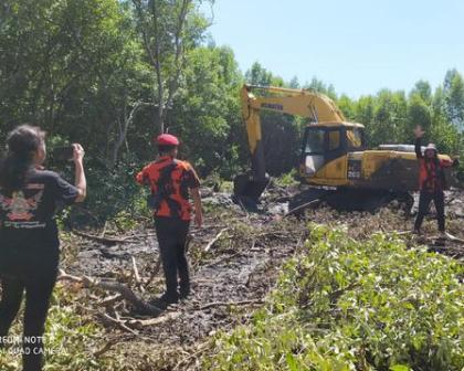 Pembalakan Liar di Hutan Mangrove Lantebung Makassar Terjadi Jelang PSBB