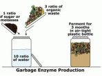Dua Masalah Klasik Saat Membuat Eco Enzyme, Penyebab dan Solusinya