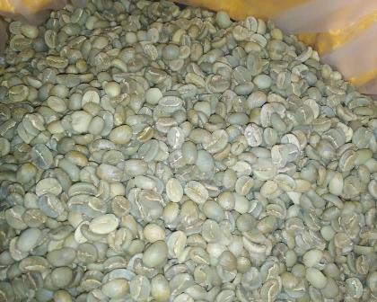 Green Coffee Beans, Manfaatnya dan Tips Memilih Biji Kopi Berkualitas