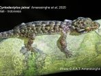 Spesies Endemik Baru Reptil Ditemukan di Bali Barat