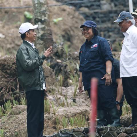 Sukses Tekan Laju Deforestasi, Indonesia dapat Suntikan Dana Segar dari Norwegia