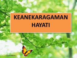 Kolaborasi Dapat Membantu Tingkatkan Keanekaragaman Hayati