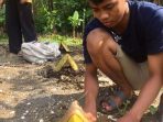 Pemasangan batang pisang