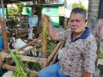 Ide Ramah Lingkungan Pedagang Hewan Kurban di Makassar yang Layak Ditiru