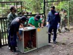 Kabar Baik, 91 Satwa Asli Indonesia Pulang ke Tanah Air