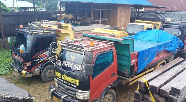 Lagi, Gakkum KLHK Amankan Pelaku Illegal Logging di Sorong dan Sumbawa