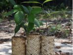 Masyarakat di Sekitar TN Gunung Palung Berkreasi Membuat Ecopolybag Berbahan Bambu