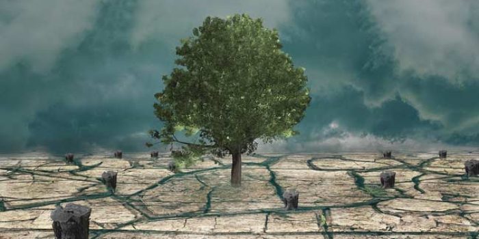 4 Potensi Risiko Lingkungan Di Tahun 2021 Dari Perubahan Iklim Hingga Tekanan Fiskal Klik Hijau