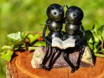 6 Fakta Perihal Semut yang Tak Terpikirkan, Mencengangkan!
