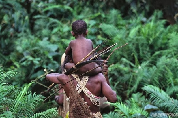 Benarkah Pengelolaan Sumber Daya Alam Papua Sudah Menjamin Hak Orang Papua