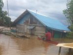Banjir Kalsel, Akumulasi Kerusakan Lingkungan