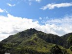 7 Fakta Keanekaragaman Hayati di Taman Nasional Gandang Dewata Mamasa