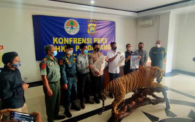 Gakkum KLHK Gagalkan Perdagangan Ilegal Gading Gajah dan Opsetan Harimau