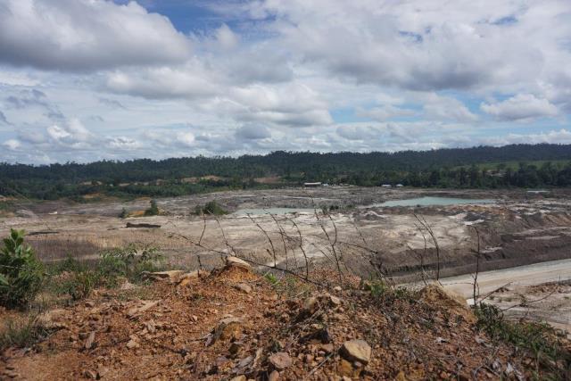 JPIK Menyoal Pernyataan Ditjen PKTL KLHK Atas Penurunan Deforestasi