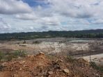 Penurunan Deforestasi Titik Awal Membangun Ekonomi tanpa Merusak Lingkungan