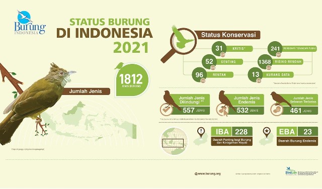 Status Burung di Indonesia 2021, 9 Jenis Burung Ini Berisiko Punah!