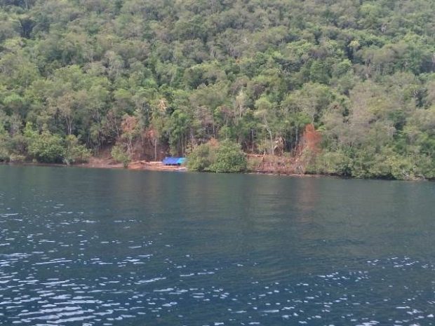 Forum PKDM Minta Hentikan Perambahan Hutan di Tepi Danau Matano