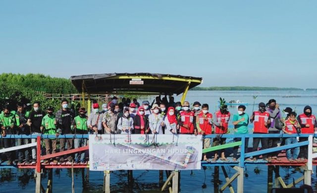 DLH Makassar, Gojek dan Mitra Hijau Asia Menanam Mangrove di Lantebung