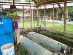 Mengintip Desa yang Melawan Kerusakan Alam dengan Transisi Energi Biogas