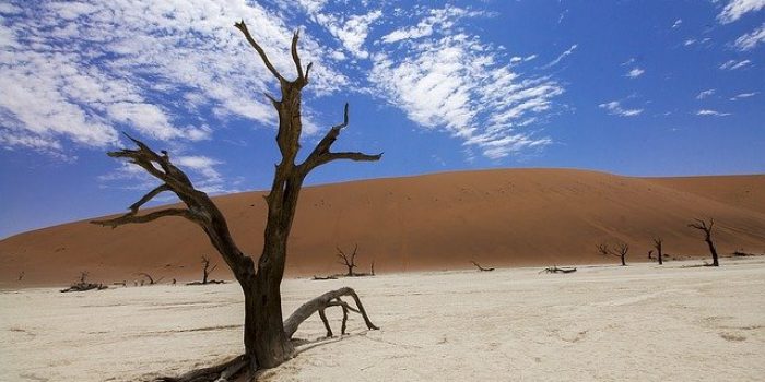 Dampak Perubahan Iklim, Warga di Madagaskar Alami Kelaparan Akut