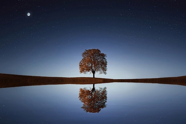 #PohonUntukKita Aksi Sederhana untuk Kita, Bumi, dan Masa Depan