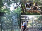 Puluhan Ekor Burung Curik Dilepasliarkan di Taman Nasional Bali Barat