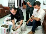 Gakkum KLHK Wilayah Sumatera Gagalkan Penjualan Sisik Trenggiling